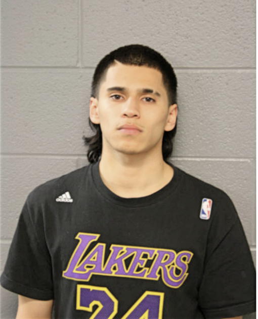 ANGEL ARIAS, Cook County, Illinois