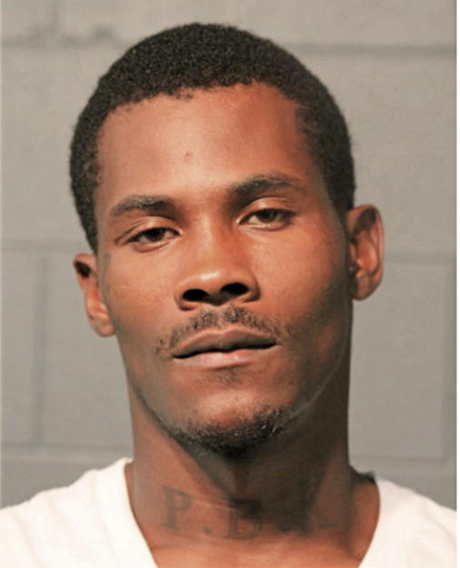 CARL L AUSTIN, Cook County, Illinois