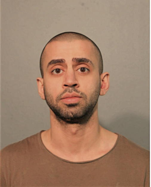 RAMIZ B BAJWA, Cook County, Illinois