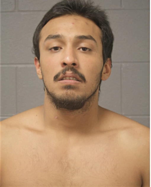 MIGUEL A BRAVO, Cook County, Illinois