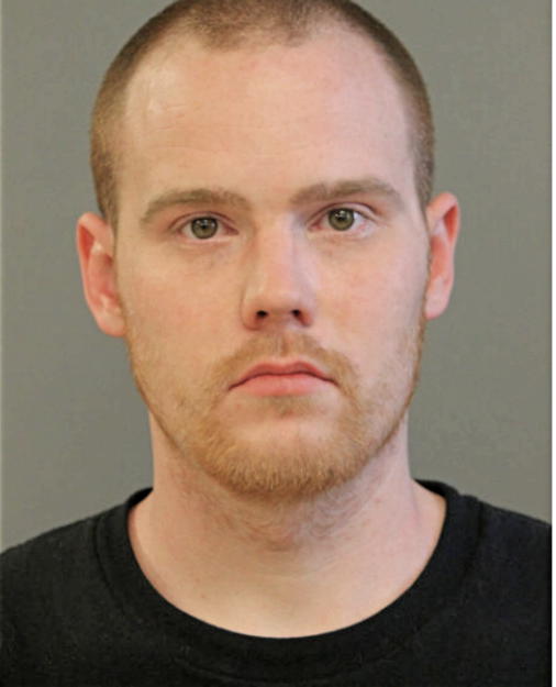 MICHAEL J DWYER, Cook County, Illinois