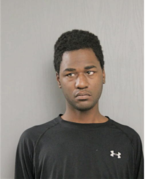 RAYMOND L FREEMAN, Cook County, Illinois