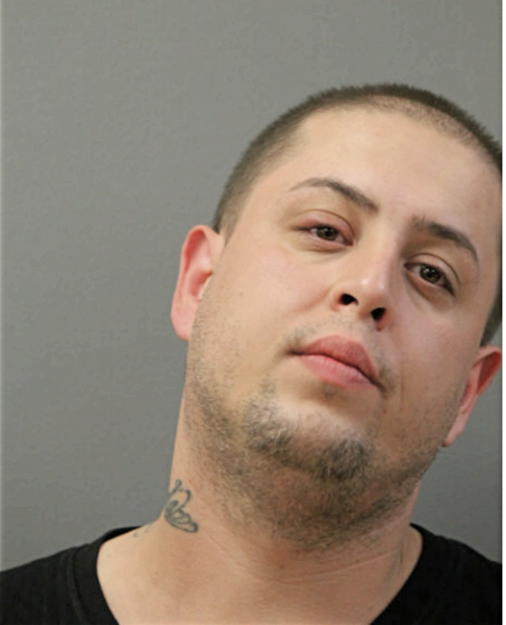 CARLOS A GARCIA, Cook County, Illinois