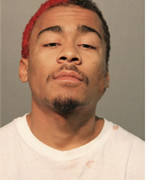 JEROMEYO P GIBSON, Cook County, Illinois