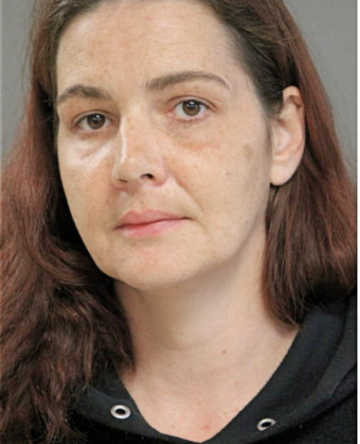 LAILA A HAMIDEH, Cook County, Illinois