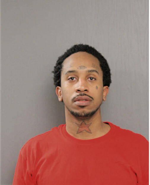 MICHAEL R HAMPTON, Cook County, Illinois