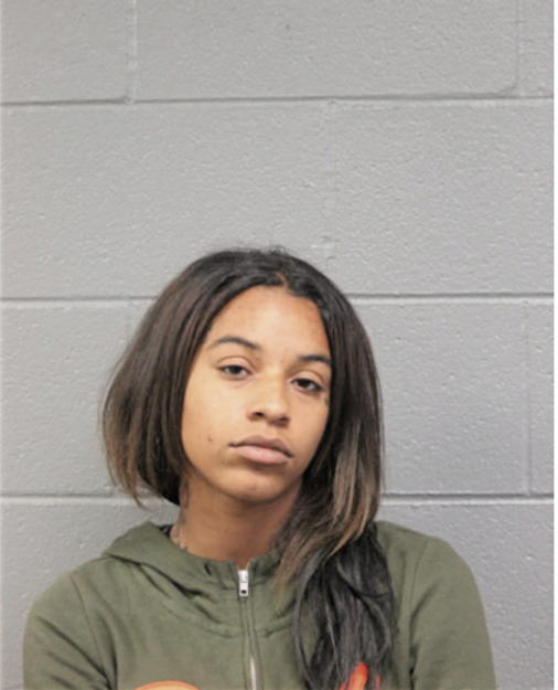 BRITTANY HILL, Cook County, Illinois