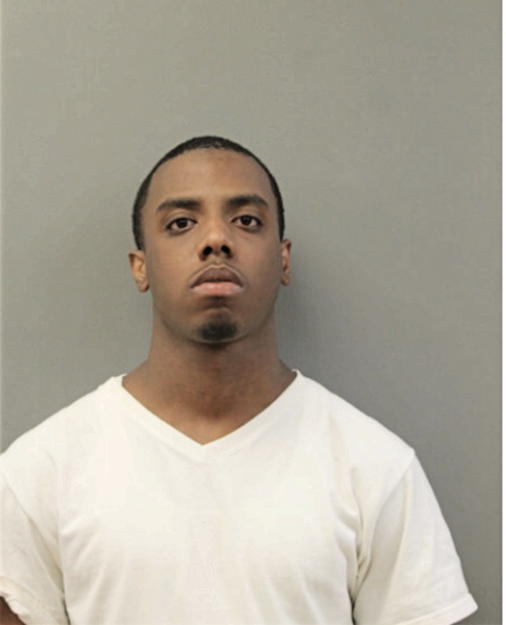 DEANDRE T JAMES, Cook County, Illinois