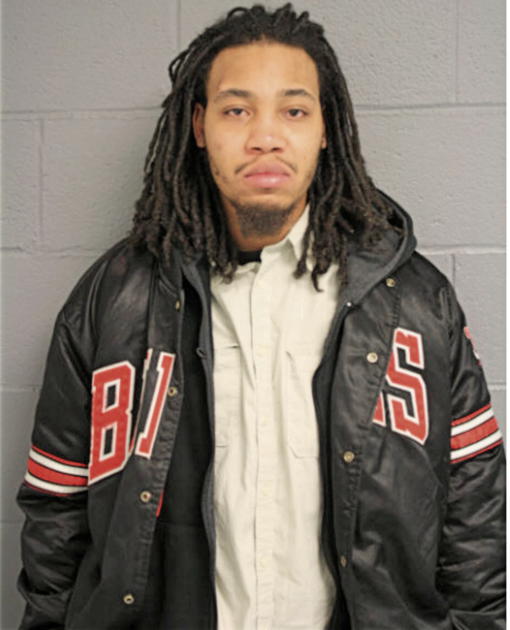 JOHNNIE M LEE, Cook County, Illinois