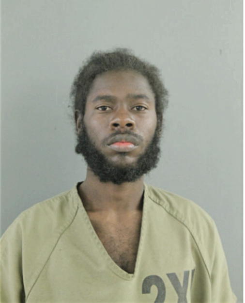 CHRISTOPHER T LITTLE, Cook County, Illinois