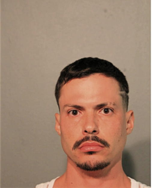 FELIPE L MACHADO, Cook County, Illinois
