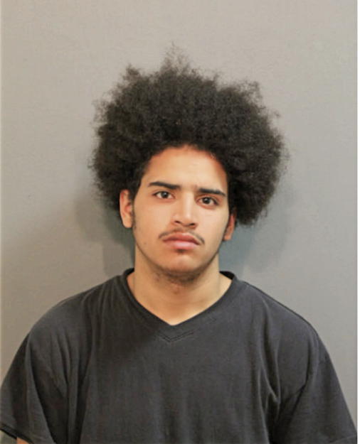 NOEL A MATEO, Cook County, Illinois