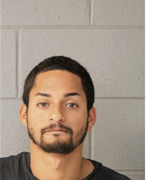 ANDY MELENDEZ, Cook County, Illinois