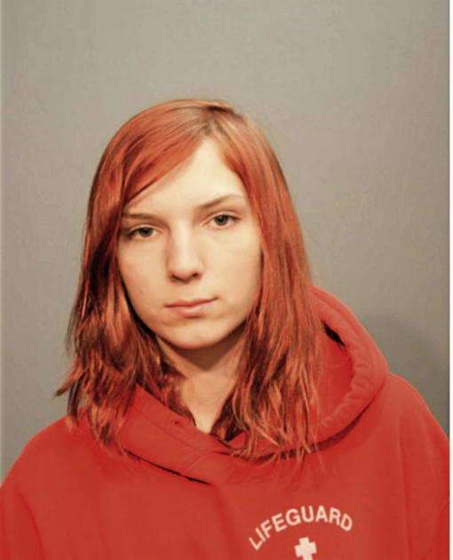 HAJRIJA MEMIC, Cook County, Illinois