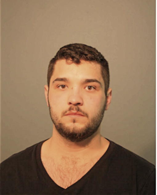 ANDREW J MILAM, Cook County, Illinois