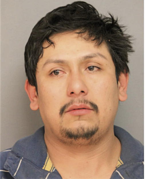 EDUARDO F NIEVES-MARTINEZ, Cook County, Illinois