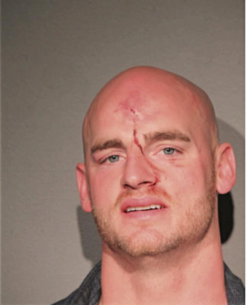 CHRISTOPHER J NOA, Cook County, Illinois