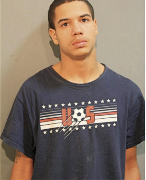 ADAM C OGLESBY, Cook County, Illinois