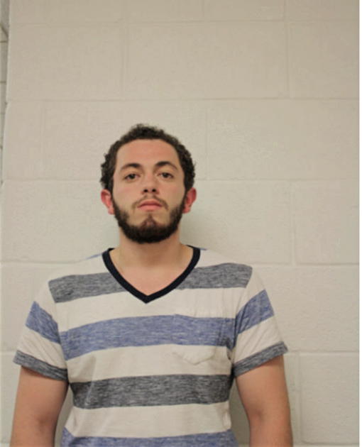 CARLOS E OLAN, Cook County, Illinois