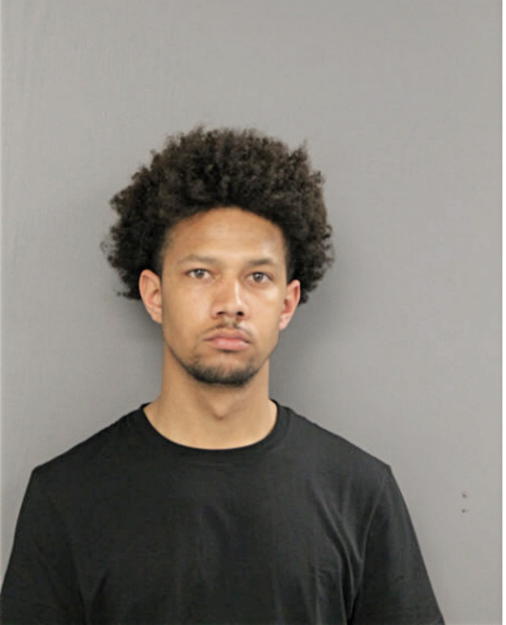 ALEXANDER PALMER, Cook County, Illinois