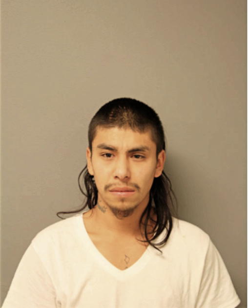 MARTIN RAMIREZ, Cook County, Illinois