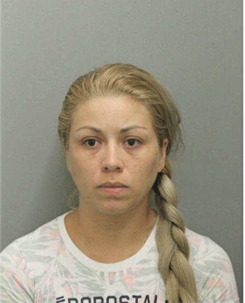 CLAUDIA M RAMOS-GUZMAN, Cook County, Illinois