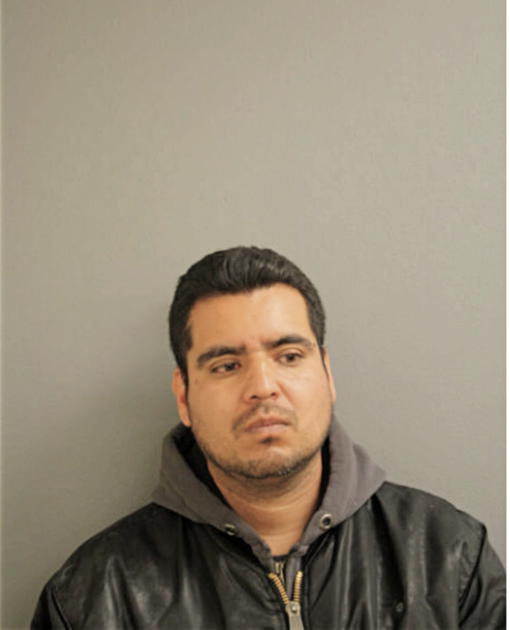 JUAN E REYES, Cook County, Illinois