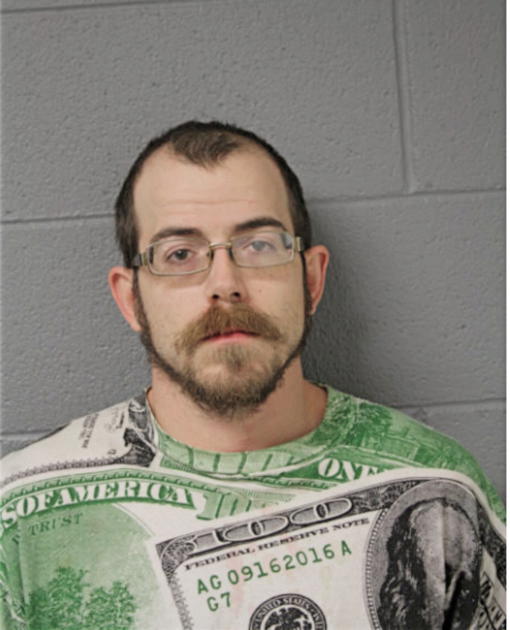 NICHOLAS M ROSS, Cook County, Illinois