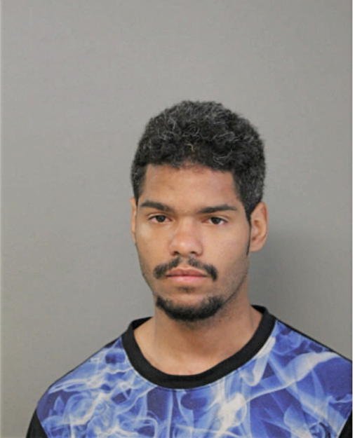 JULIAN R RUIZ, Cook County, Illinois