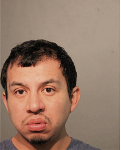 JOSE L URENA, Cook County, Illinois
