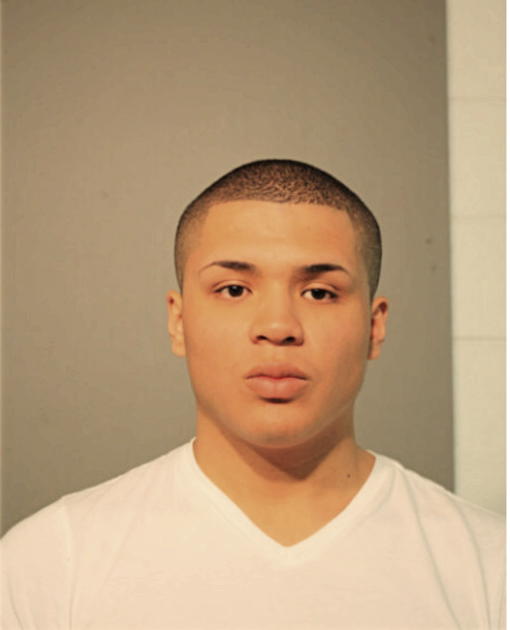 ANTHONY T WISEMAN, Cook County, Illinois
