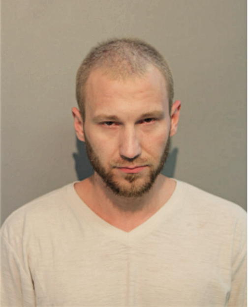 LUKASZ A WOJEWODA, Cook County, Illinois