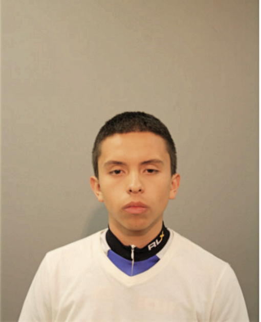 JULIO A ZAMACONA, Cook County, Illinois