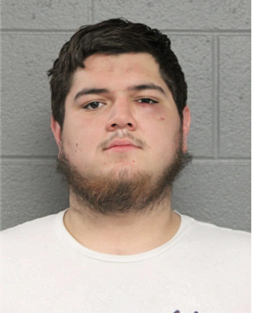 ORLANDO ZAVALA, Cook County, Illinois