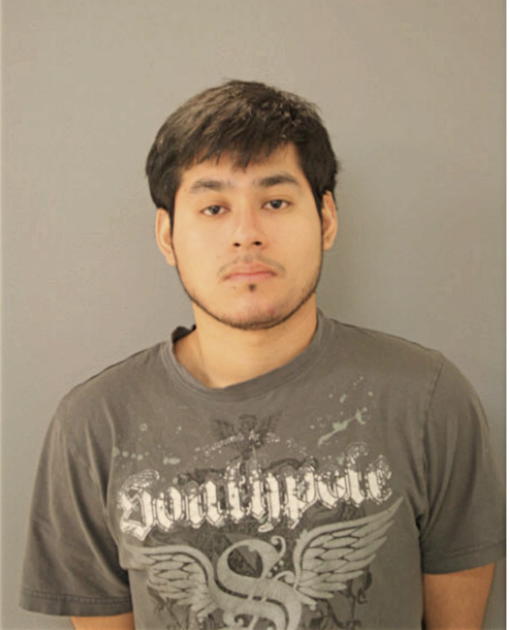 ALEXIS D CORTEZ, Cook County, Illinois
