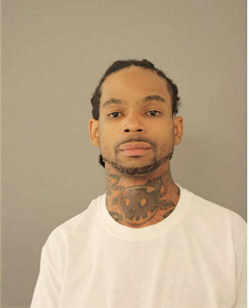 BRYANT DAVIS, Cook County, Illinois
