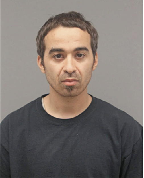 FERAS SAID EL-GHOUL, Cook County, Illinois