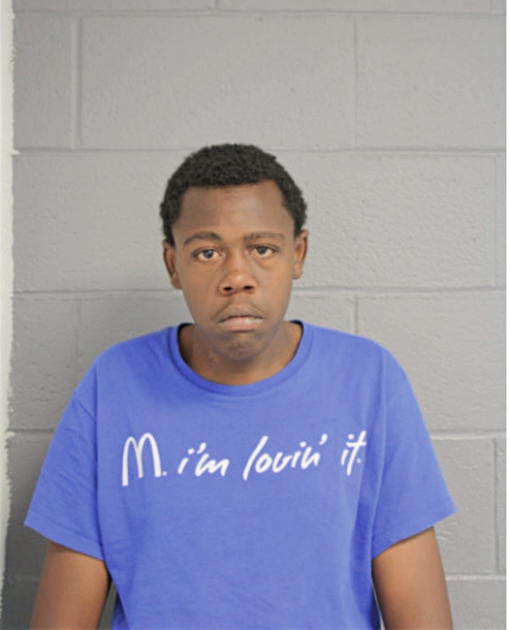DARYL G CUNNINGHAM, Cook County, Illinois