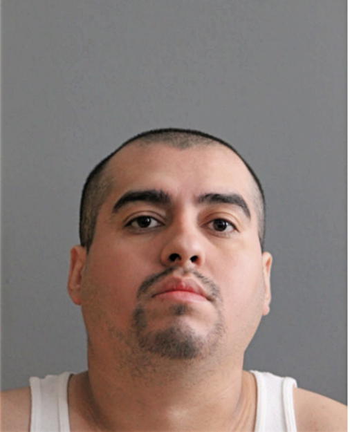ROSAS GILBERTO, Cook County, Illinois