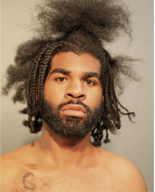 GERALD C GUSHINIERE, Cook County, Illinois