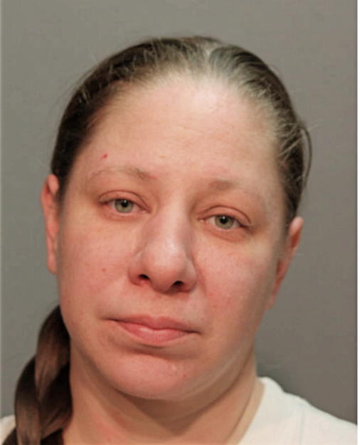 BETH N HAUGER, Cook County, Illinois