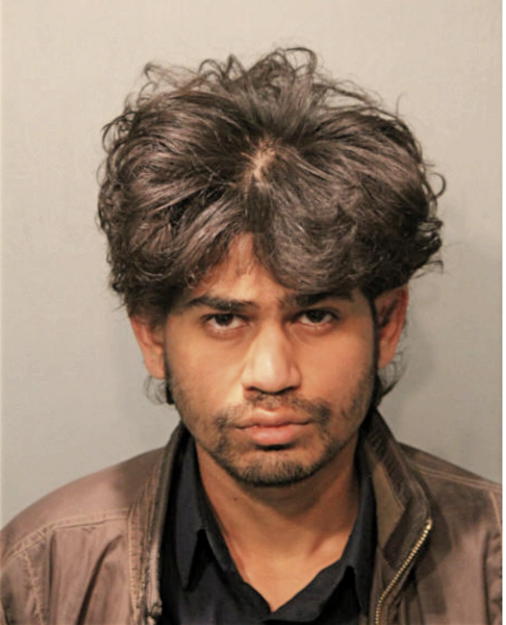 PRANAY P KUMAR, Cook County, Illinois