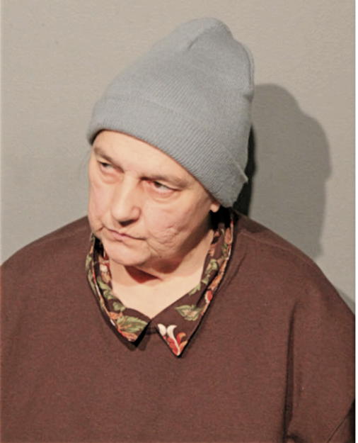 CAROL L ZOLTEK, Cook County, Illinois