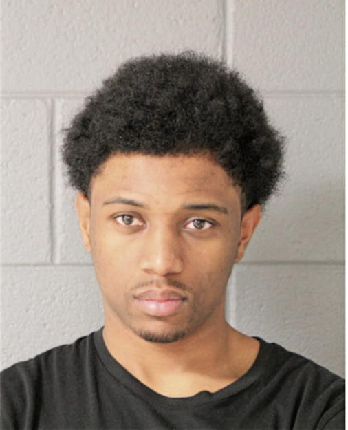DARRION E LEE, Cook County, Illinois