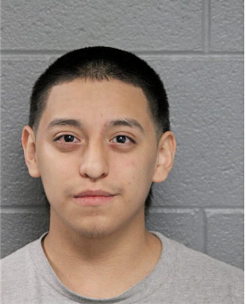 OSVALDO MARTINEZ, Cook County, Illinois