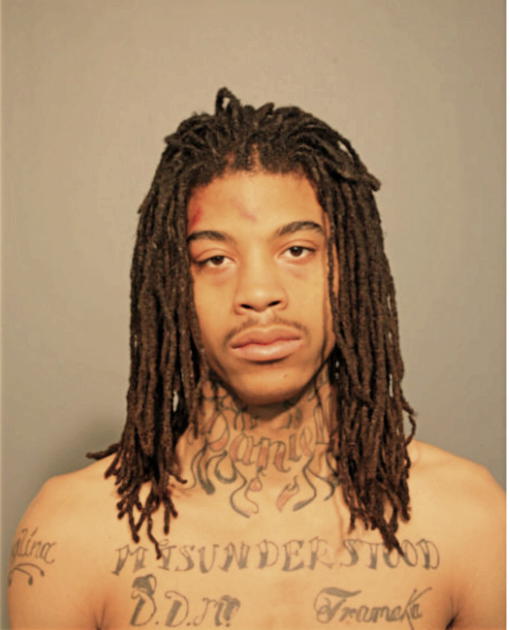 DEMARCO D MILES, Cook County, Illinois
