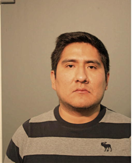 NICO JOHN MLADIC, Cook County, Illinois