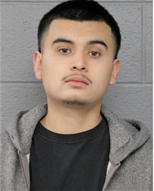 JOSE J MOSQUEDA, Cook County, Illinois