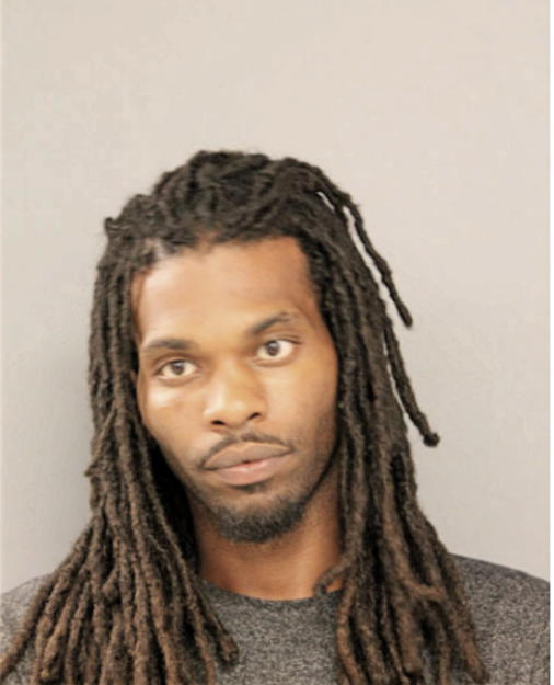 GERALD ANDERSO N, Cook County, Illinois