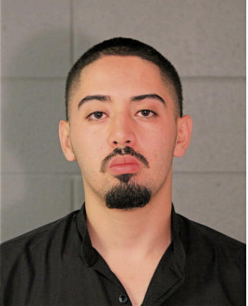 LUIS NAVARRO, Cook County, Illinois